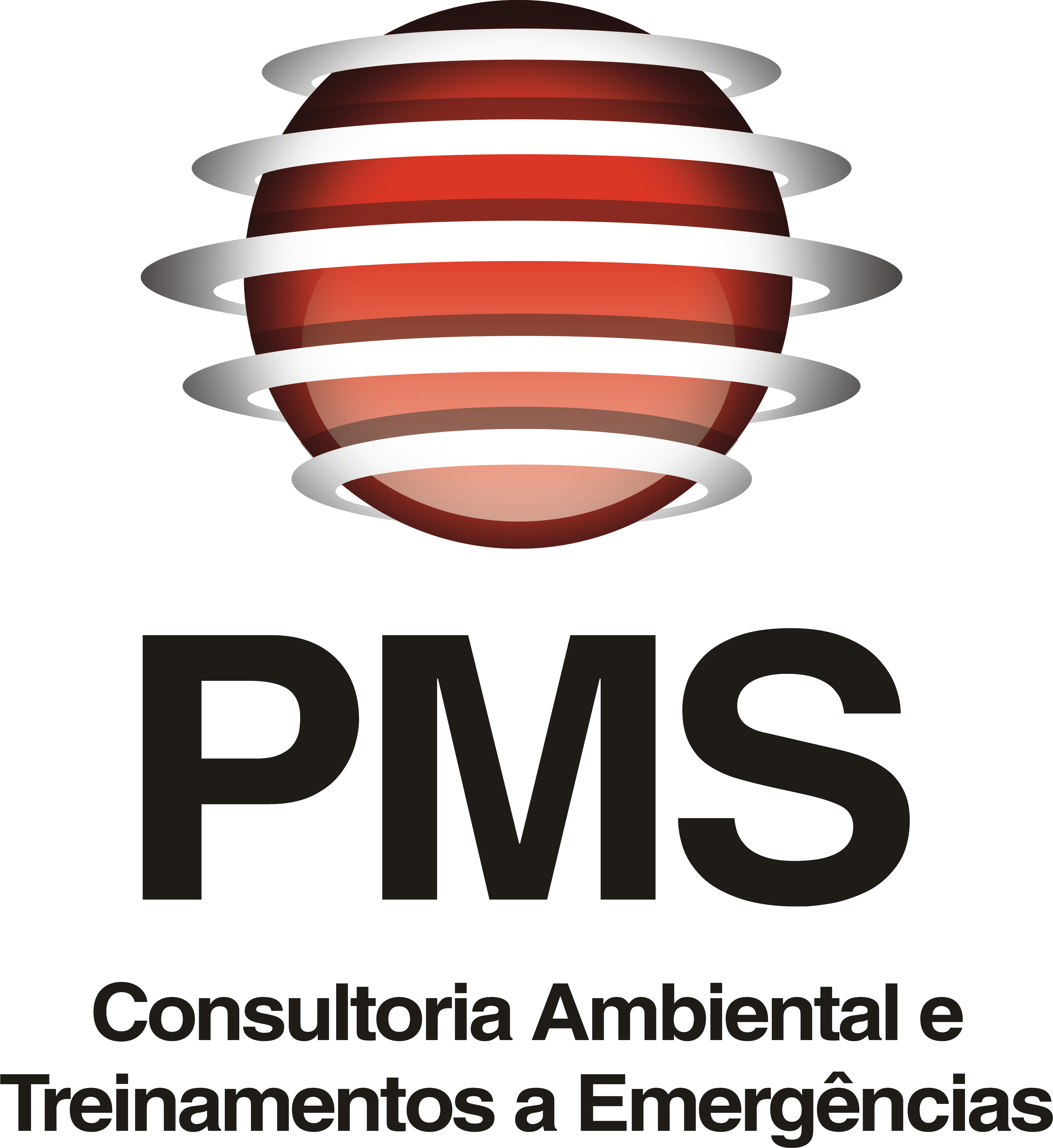 PMS Consultoria